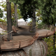 Illustration for article titled Pod-shaped treehouses for living like one of Tolkiens elves
